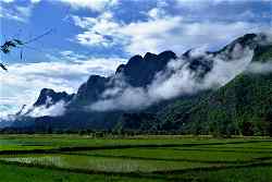 Rice fields and misty forested mountains in Laos