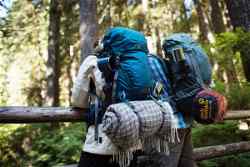 Two people with backpacks in a wooded area